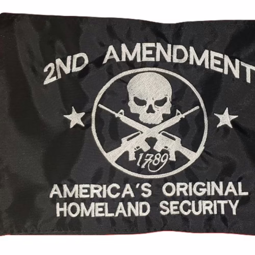 2nd Amendment America's Original Homeland Security