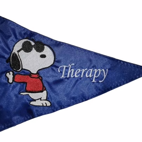 Joe Cool Snoopy