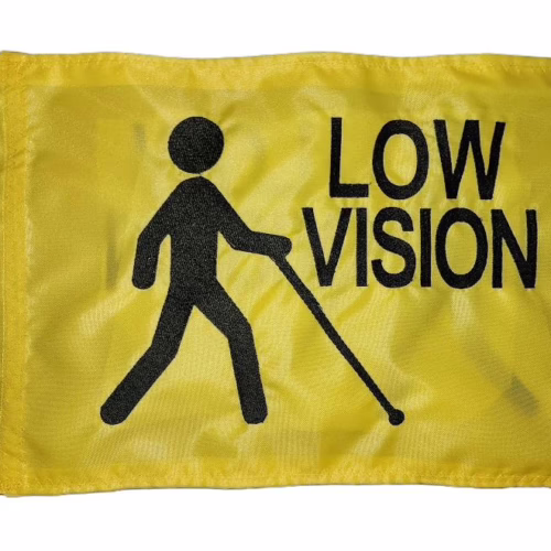 Low Vision