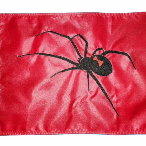 Black Widow Spider