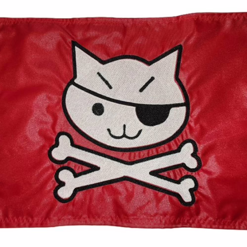 Cat Pirate