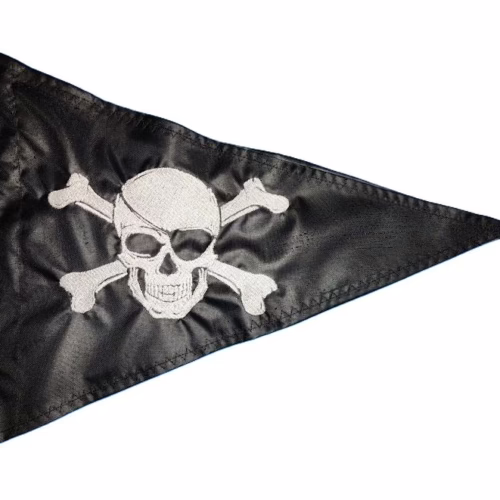 Jolly Roger Pirate Skull