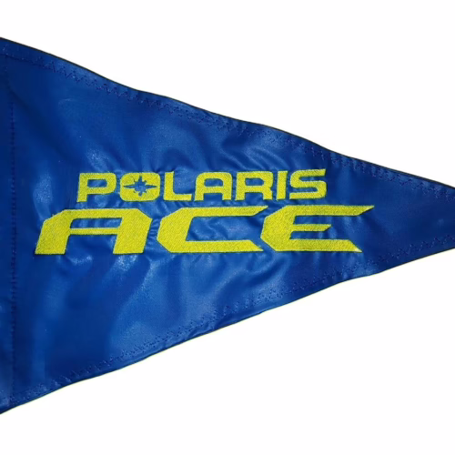 Polaris ACE