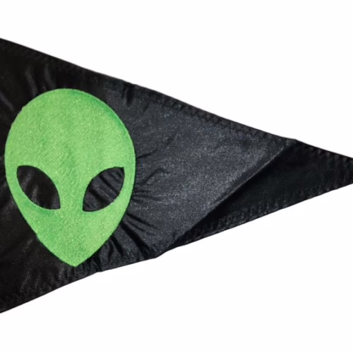 Alien Head