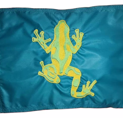 Tree Frog