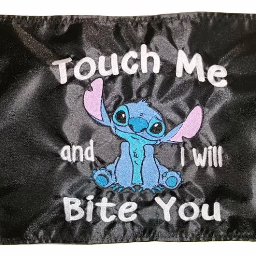 Stitch