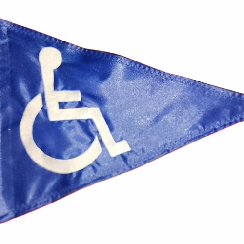 Disabled Handicap