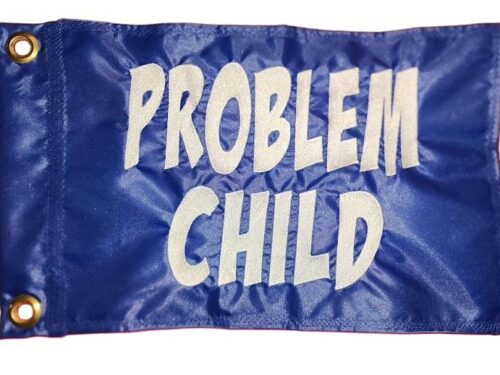 Problem child safety flag made by Devil Woman Flags with dense embroidered white "PROBLEM CHILD" text graphic on blue nylon rectangle with solid brass grommets