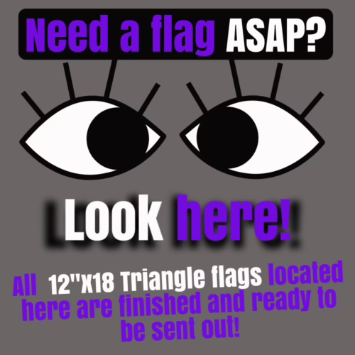 READY TO SHIP 12"x18" TRIANGLE FLAGS