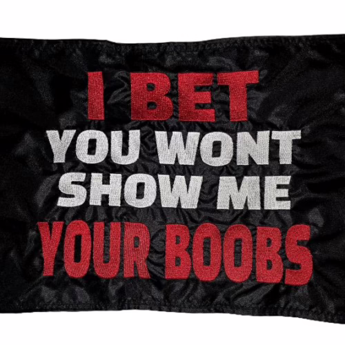 I Bet Your Boobs